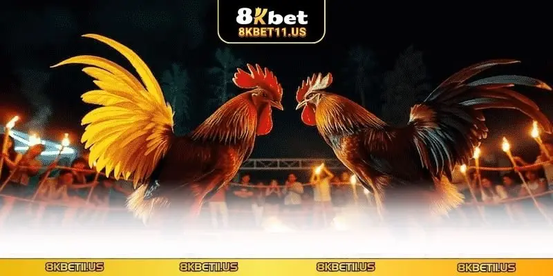 Quy định về hạng cân cụ thể 